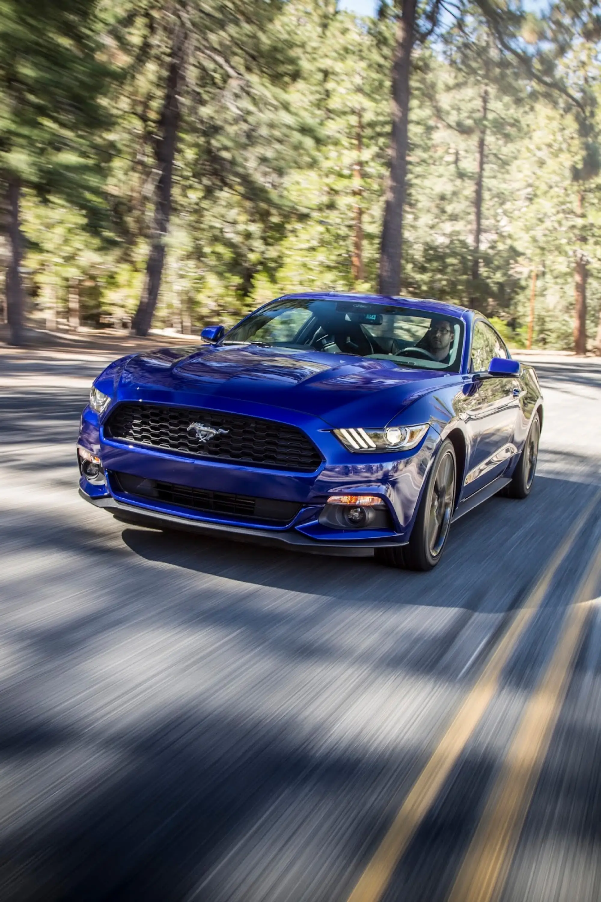 Ford Mustang 2015 - 20