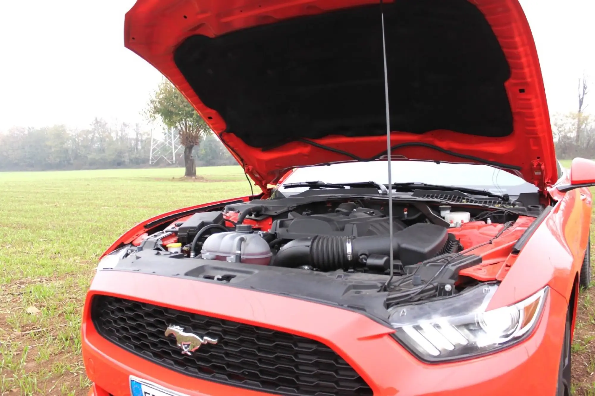 Ford Mustang Fastback Ecoboost - 64