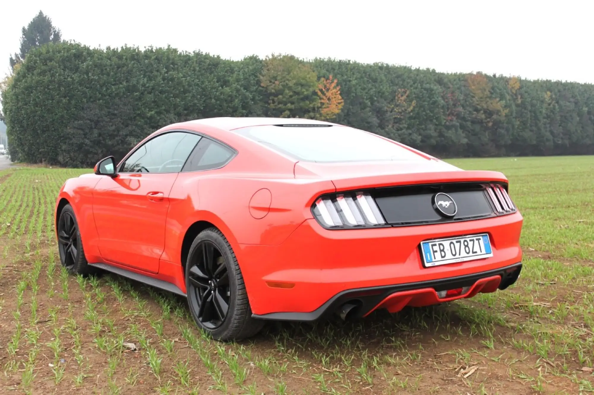 Ford Mustang Fastback Ecoboost - 84