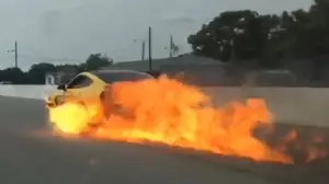 Ford Mustang GT350 in fiamme sul tracciato di Roebling Road