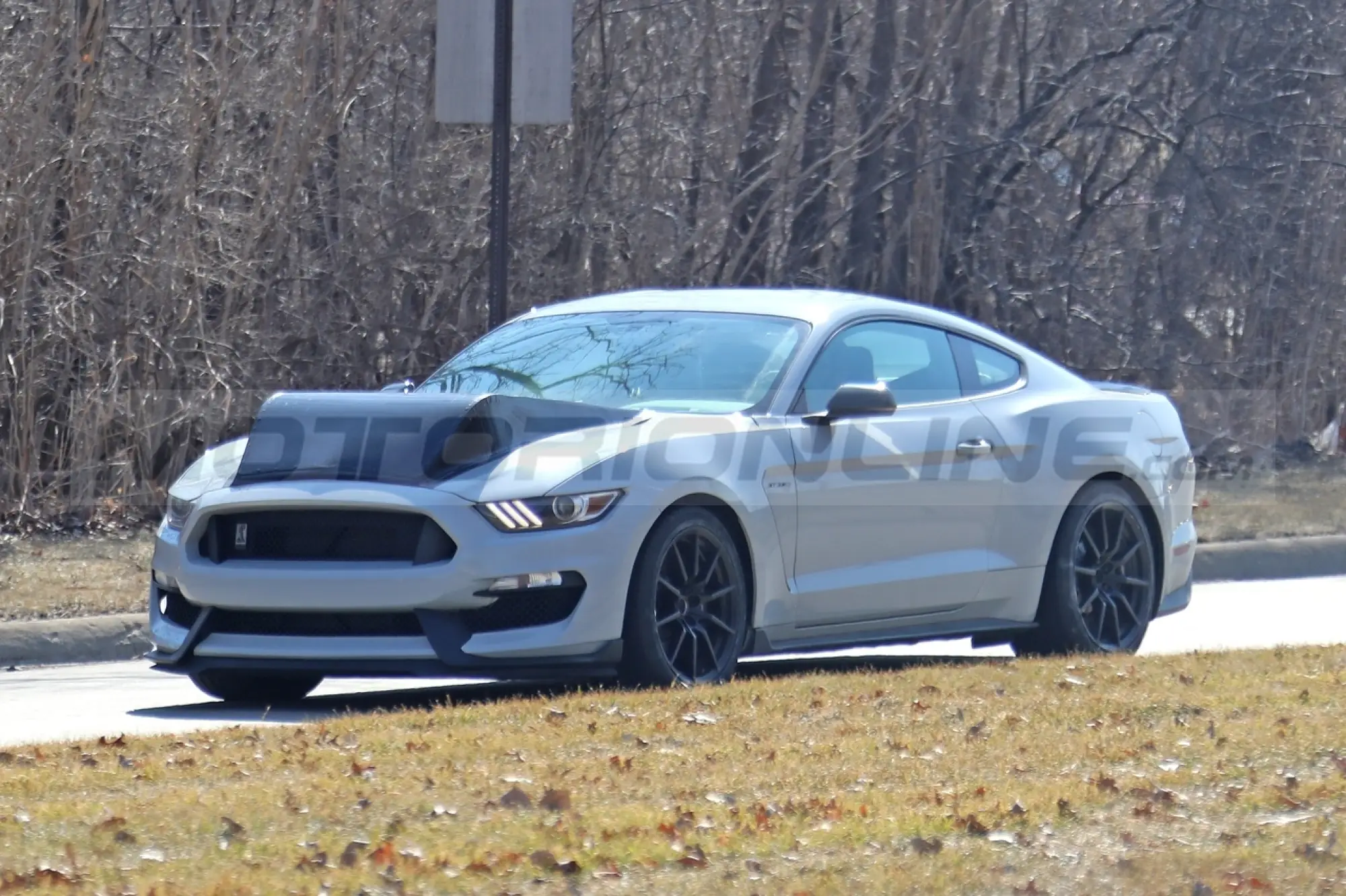 Ford Mustang Shelby GT350 - Foto Spia 07-04-2022 - 5