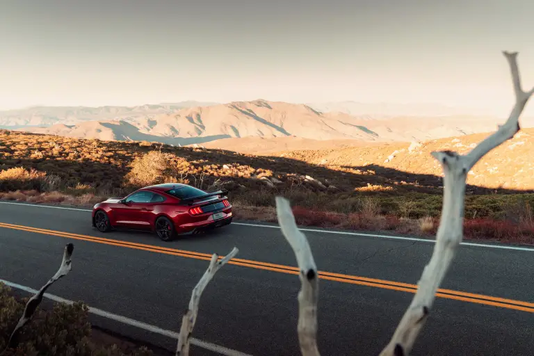 Ford Mustang Shelby GT500  - 14