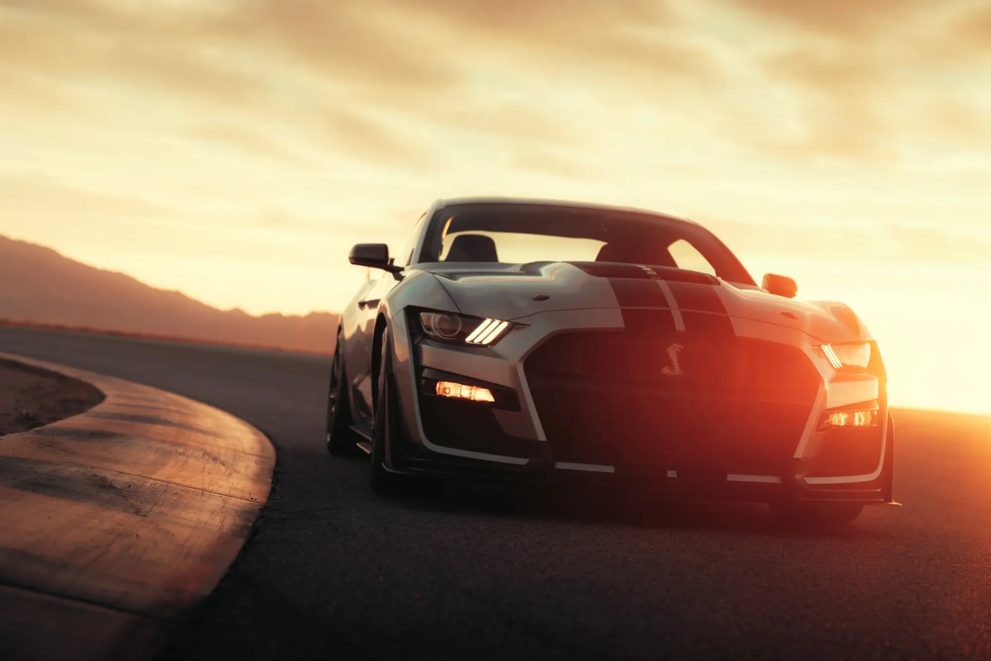 Ford Mustang Shelby GT500  - 64