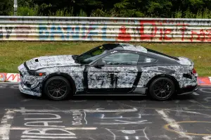 Ford Mustang SVT - Foto spia 18-07-2014 - 4