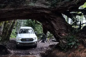 Ford Ranger MY 2019