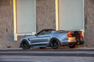 Ford Shelby Super Snake Speedster - 13