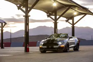 Ford Shelby Super Snake Speedster - 10