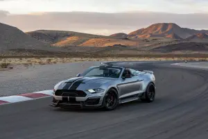 Ford Shelby Super Snake Speedster - 9