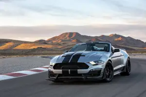 Ford Shelby Super Snake Speedster - 16