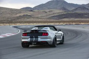 Ford Shelby Super Snake Speedster - 3