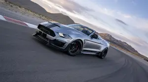 Ford Shelby Super Snake Speedster - 28