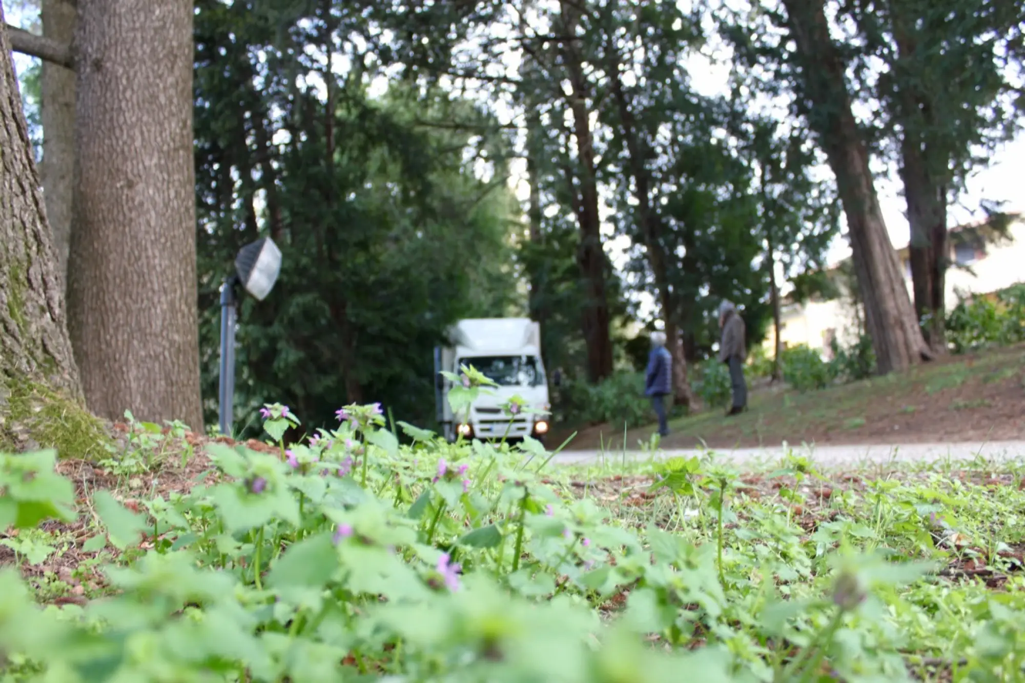 Fuso Canter E-Cell - evento di prova - 72