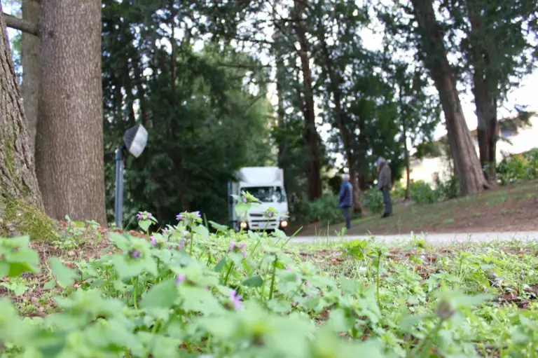 Fuso Canter E-Cell - evento di prova - 72