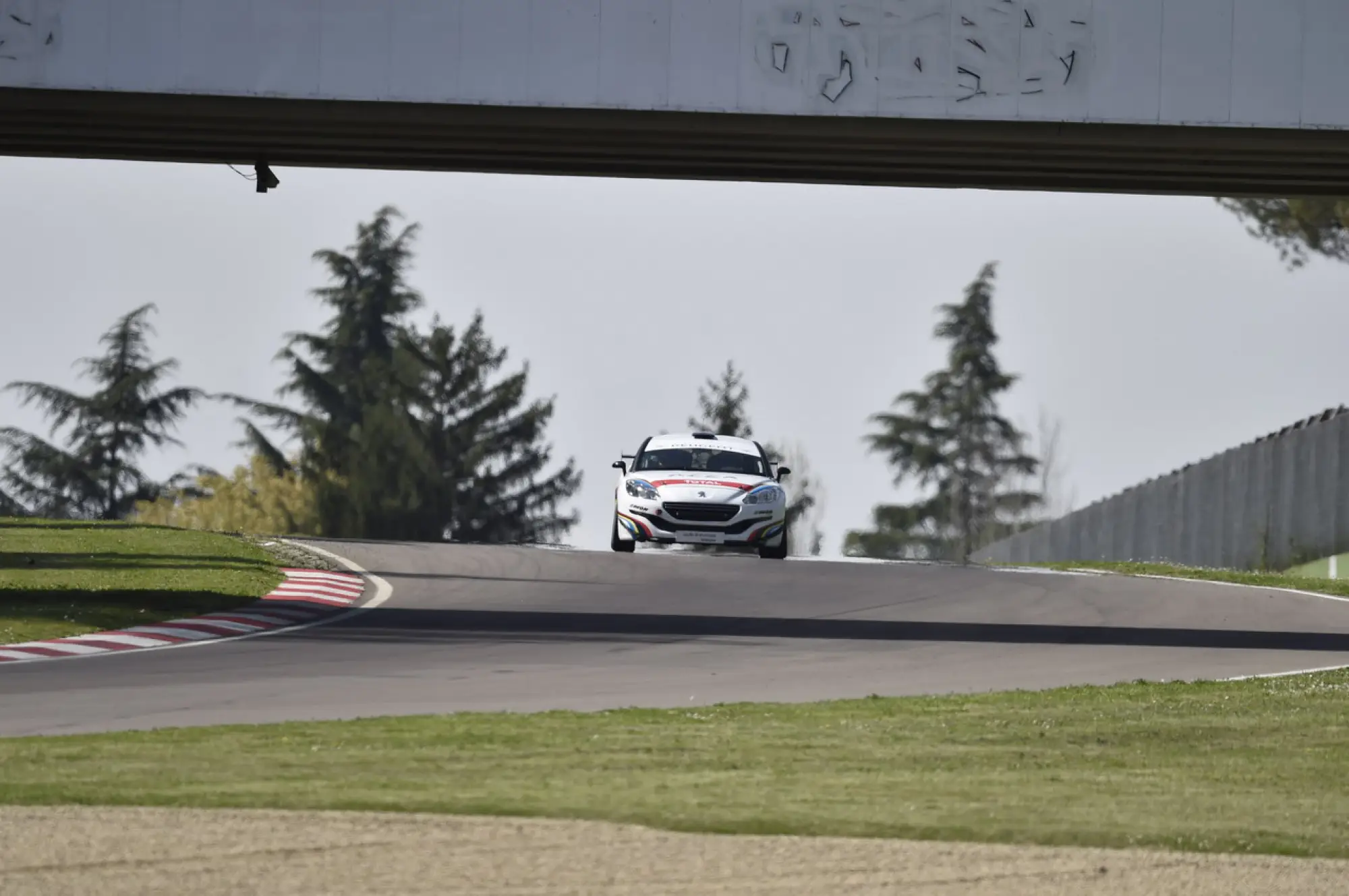 Gamma sportiva Peugeot RCZ in pista - 59