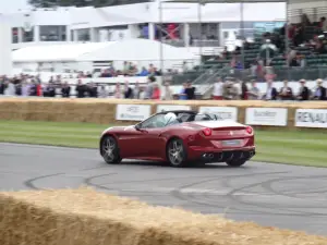 Goodwood Festival of Speed 2014 - 13