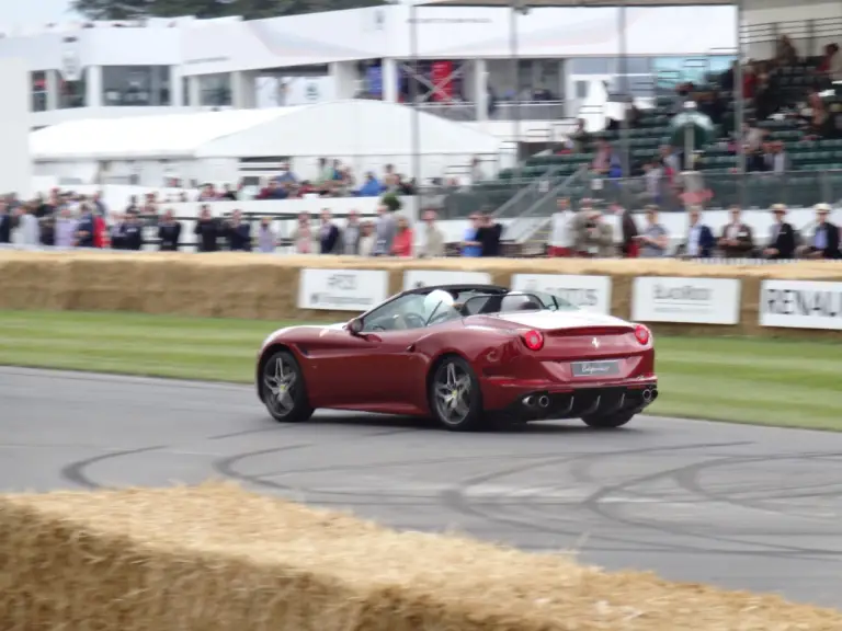 Goodwood Festival of Speed 2014 - 13