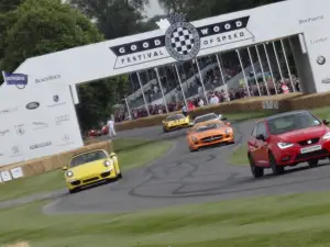 Goodwood Festival of Speed 2014 - 28