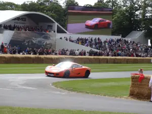 Goodwood Festival of Speed 2014 - 232