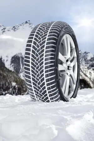 Goodyear UltraGrip  - 18