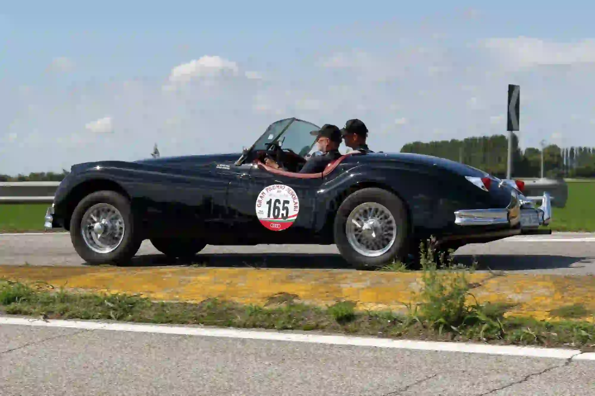 Gran Premio Nuvolari 2017 - foto di Pierangelo Gatto - 113