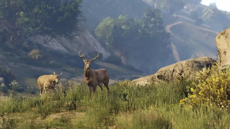GTA V - Versione Next Gen - 6