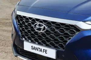 Hyundai Santa Fe MY 2019 - 110