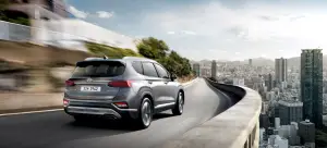 Hyundai Santa Fe MY 2019 - 15