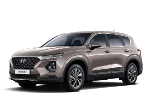Hyundai Santa Fe MY 2019 - 19