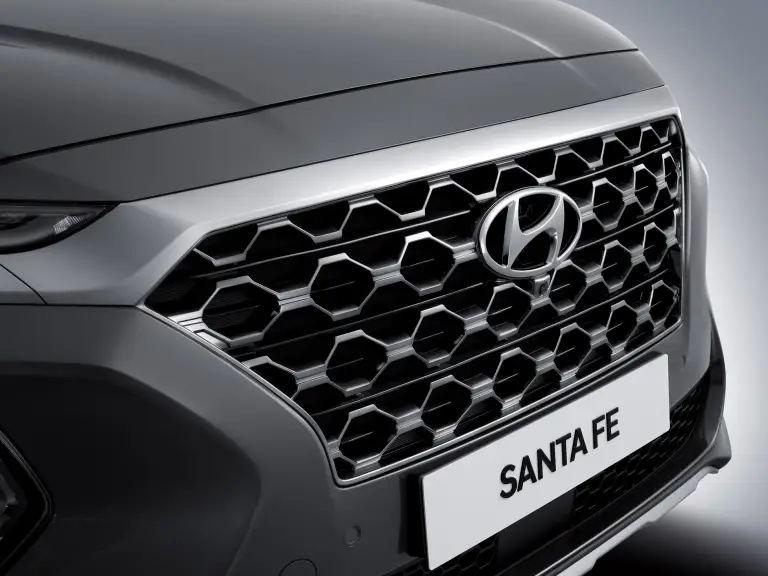 Hyundai Santa Fe MY 2019 - 9