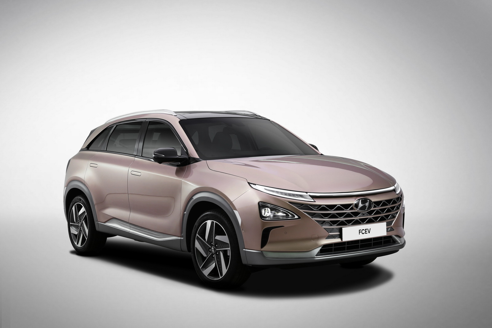 Hyundai SUV Fuel Cell