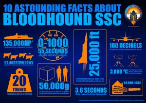 Infografiche Bloodhound SSC