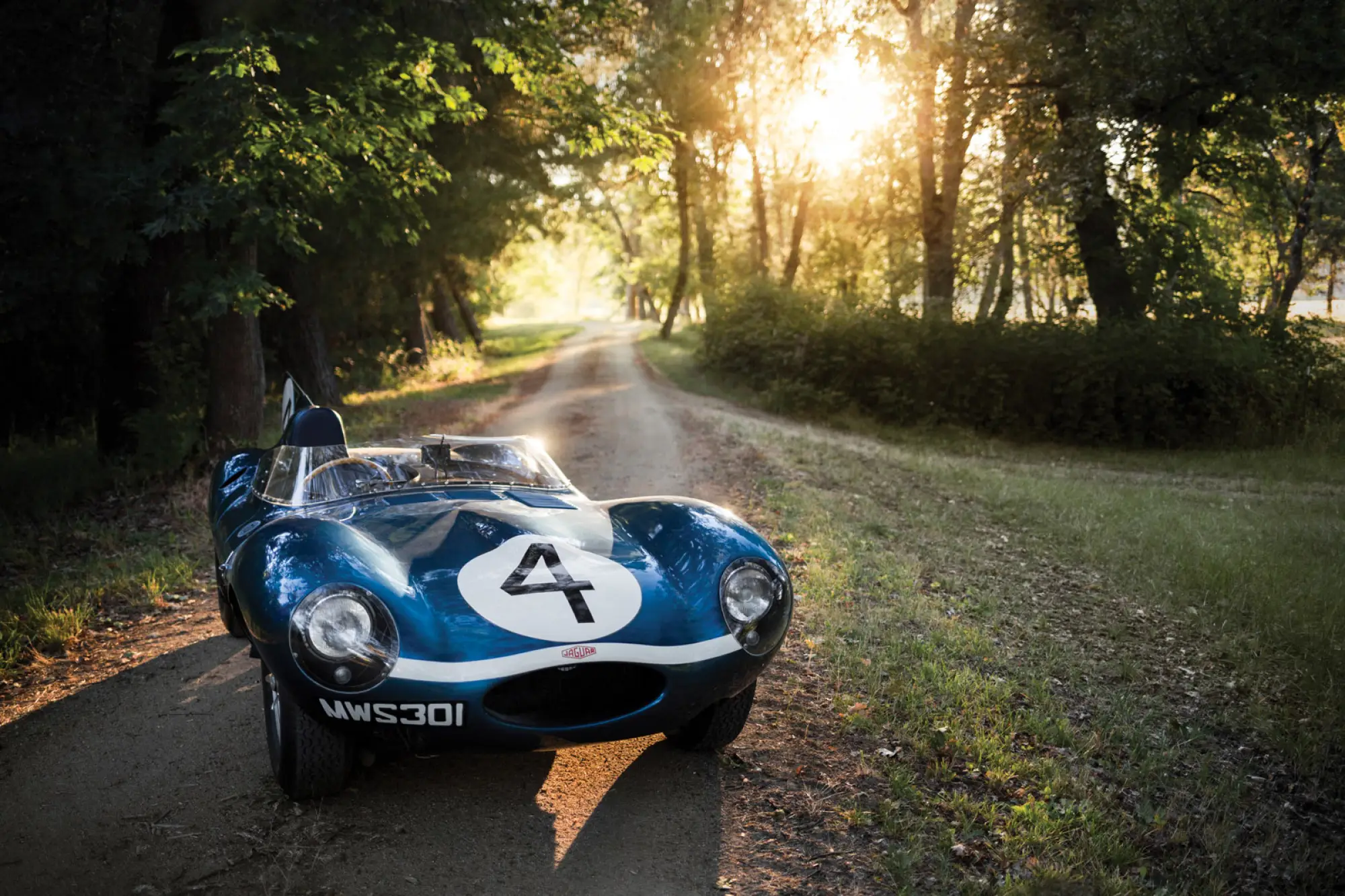 Jaguar D-Type (Ecurie Ecosse) - 2