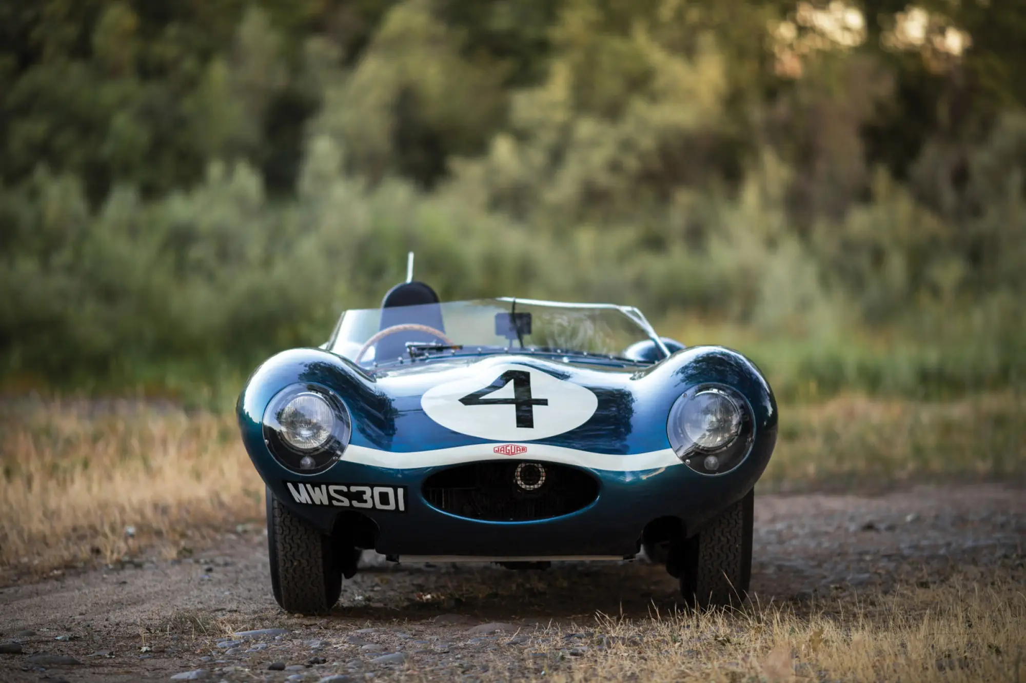 Jaguar D-Type (Ecurie Ecosse) - 12
