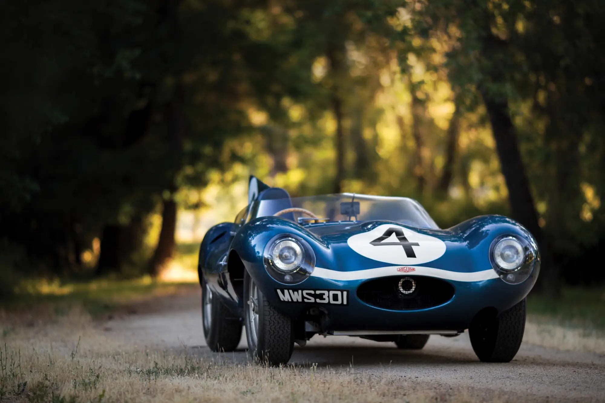 Jaguar D-Type (Ecurie Ecosse) - 19