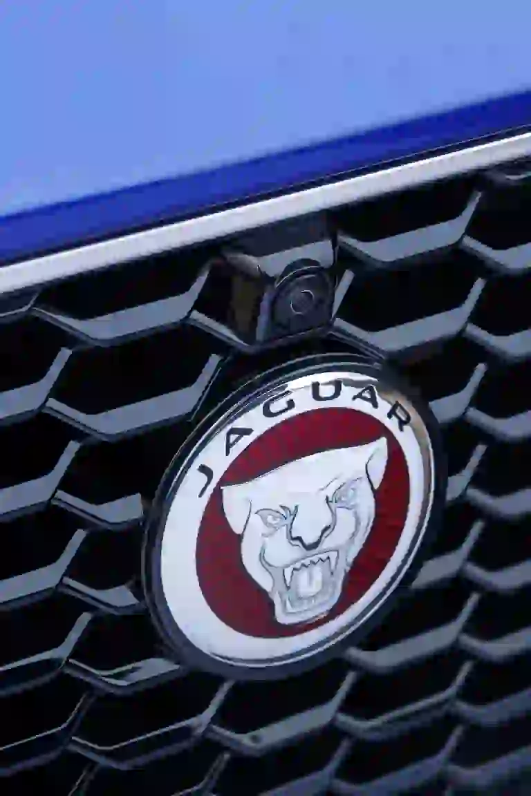 Jaguar E-PACE R-Dynamic S P300 - Test drive - 123