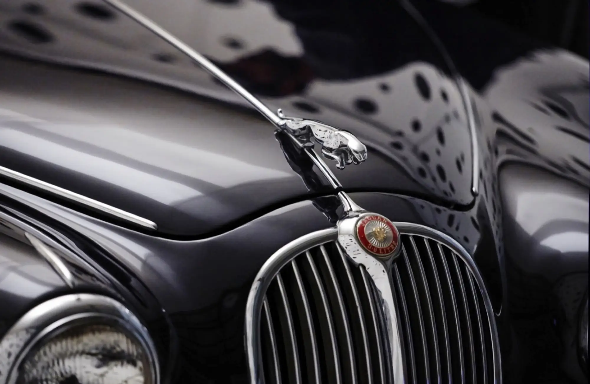 Jaguar e Rankin - anniversario della Mk 2  - 5