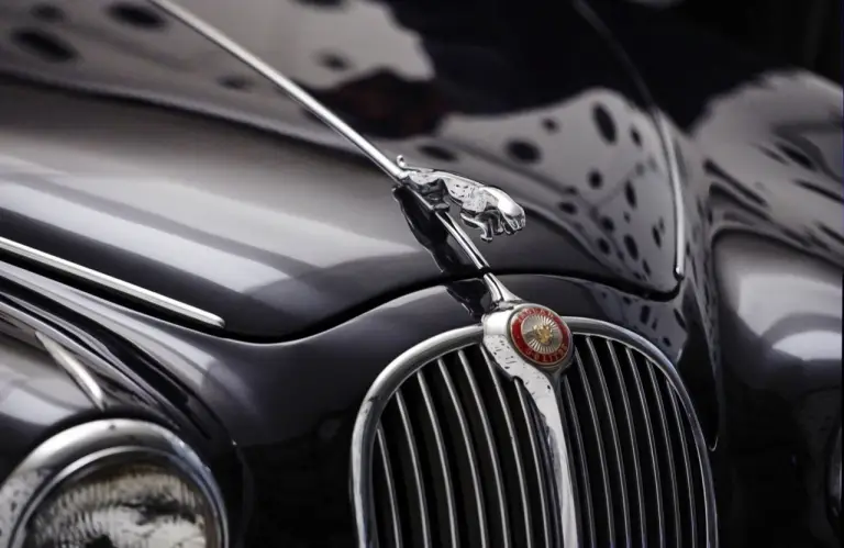 Jaguar e Rankin - anniversario della Mk 2  - 5