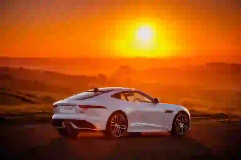 Jaguar F-Type Chequered Flag - 9