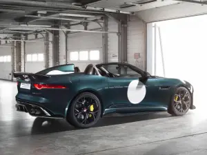 Jaguar F-Type Project 7