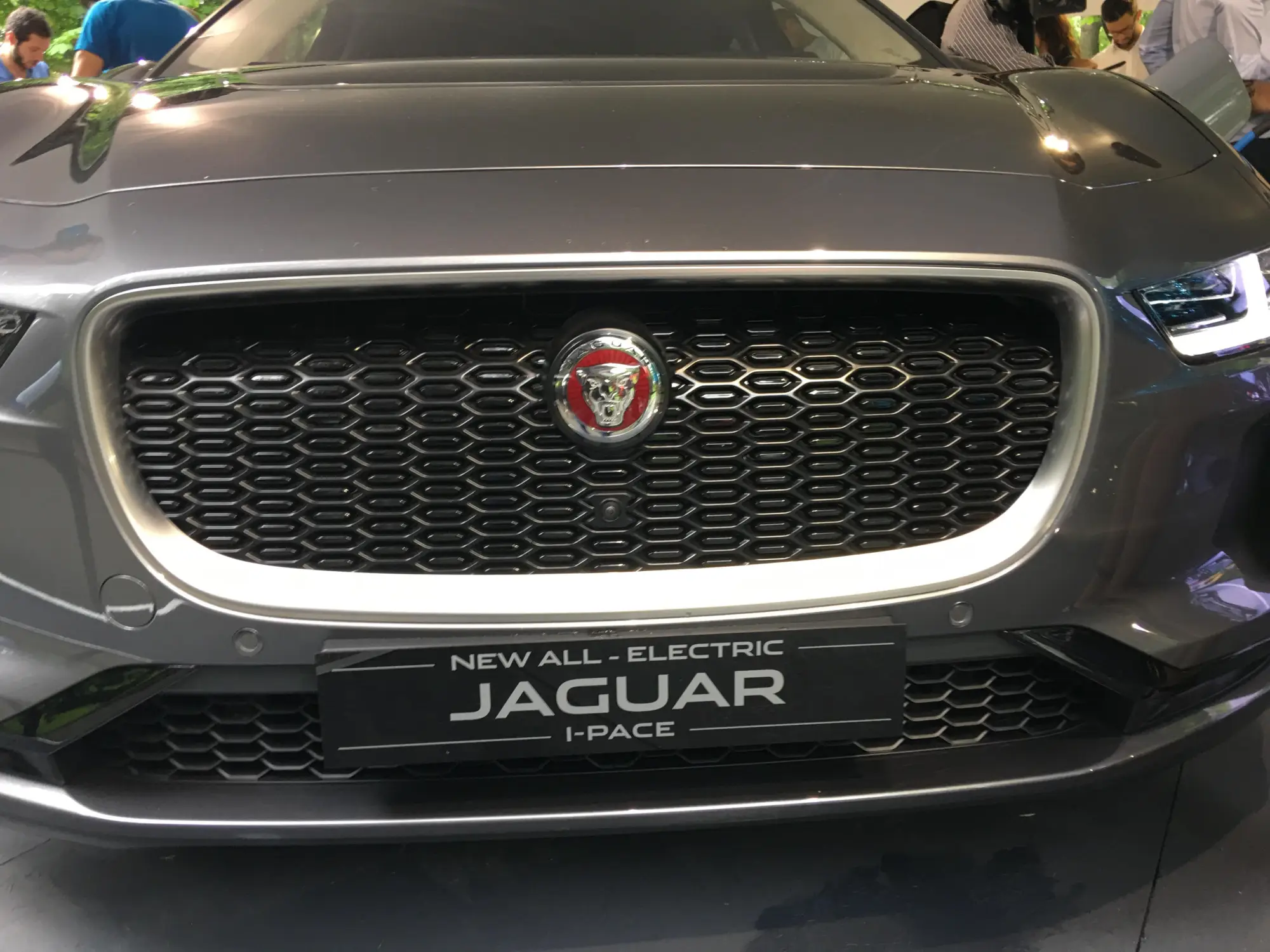 Jaguar I-PACE Parco Valentino 2018 - 3