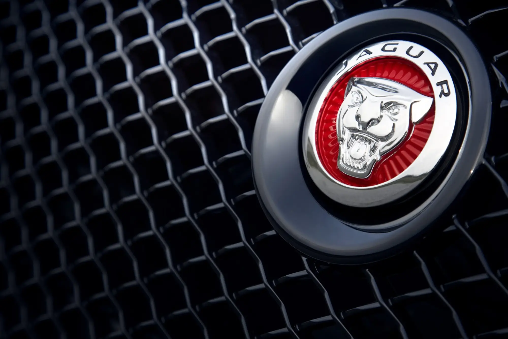 Jaguar XJR 2014 - 7