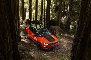 Jeep Compass MY 2017 - 48