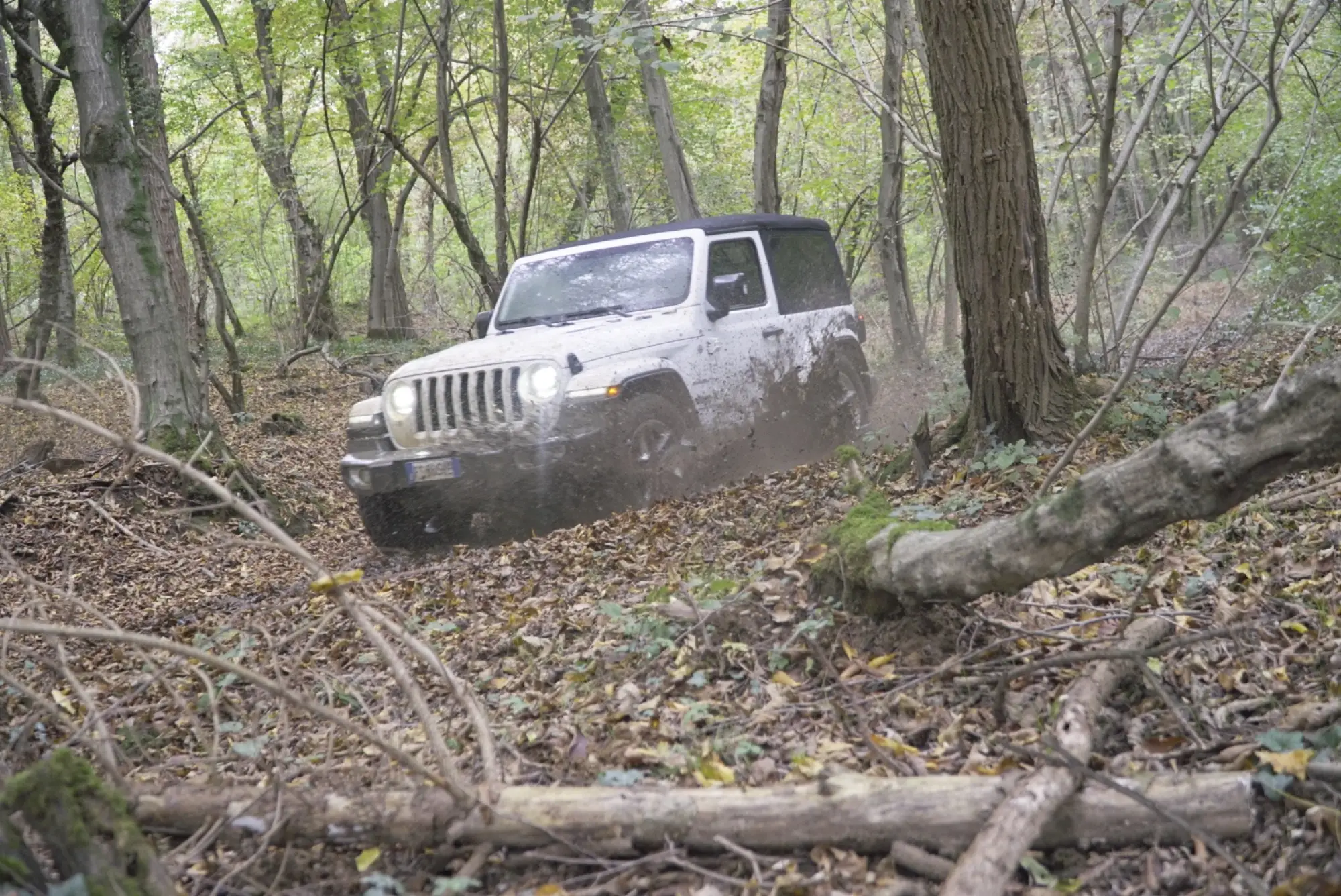 Jeep Wrangler JL Sahara 2019 - Prova su strada - 15