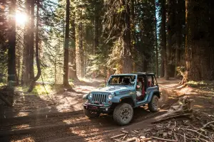 Jeep Wrangler Rubicon 10th Anniversary, foto  - 15