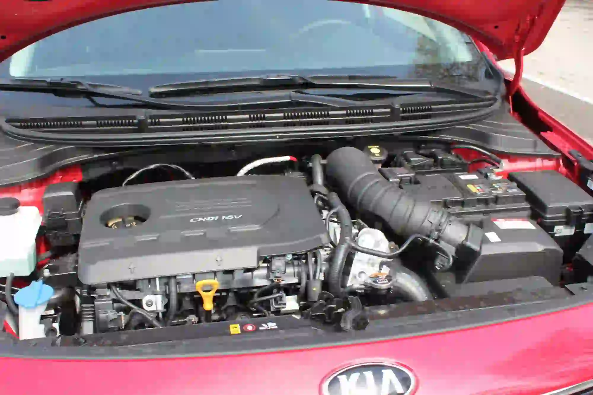 Kia Rio 1.4 CRDi: prova su strada  - 1