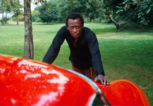 Lambo Ferrari e Miles Davis