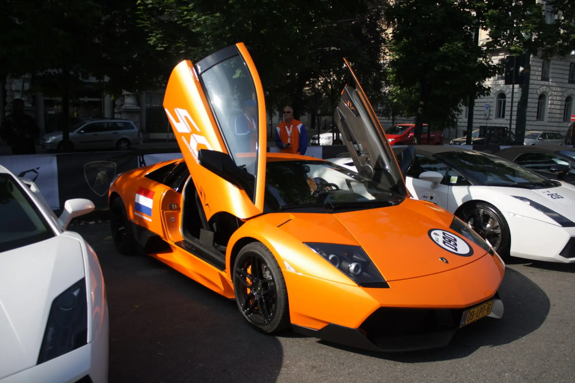 Lamborghini 50 anni - 6
