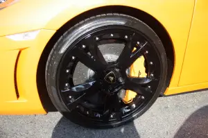Lamborghini 50 anni - 9