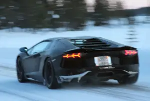 Lamborghini Aventador LP700-4 Roadster - Foto spia 28-02-2012 - 12