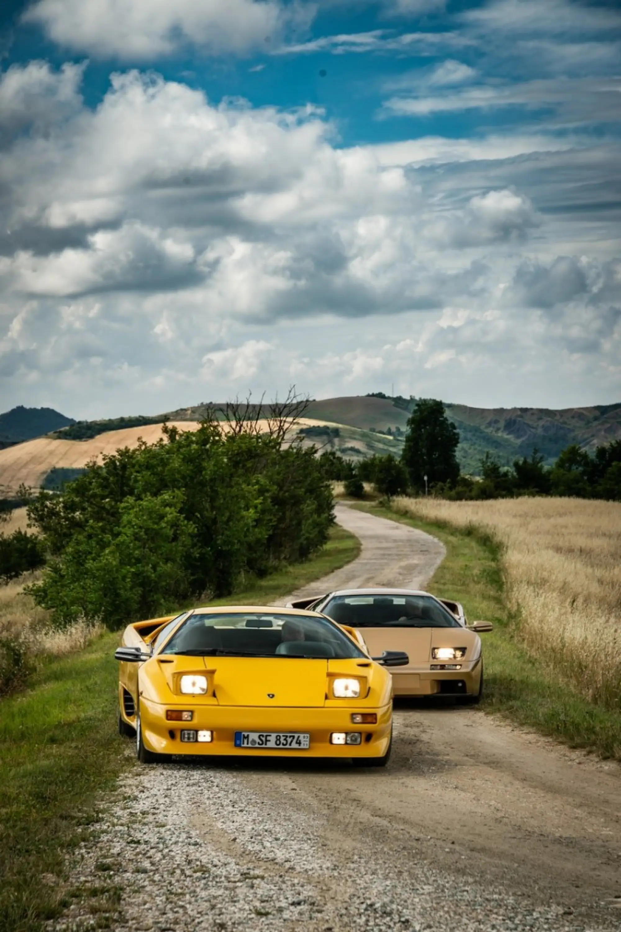 Lamborghini Diablo 30° Anniversario  - 14